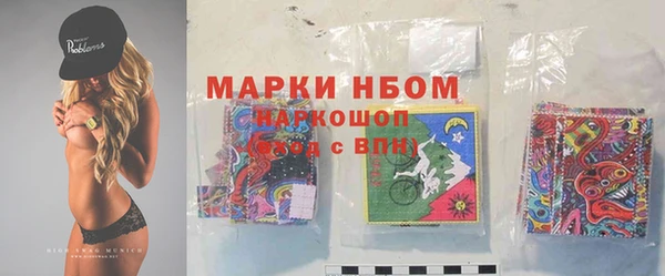 хмурый Надым